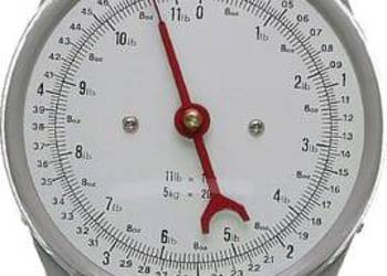 Waga zegarowa zawieszana 5 kg 486780
