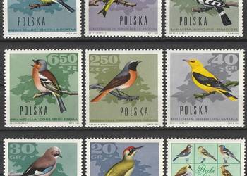 POLSKA - PTAKI - 1966 - CZYSTE **