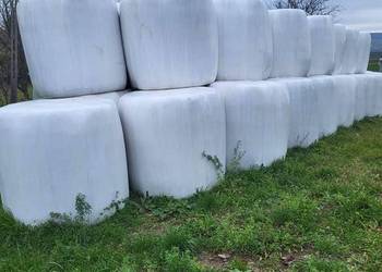 Sprzedam sianokiszonkę