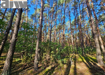 Do sprzedaży działka 1200m2 Izabelin C Izabelin C