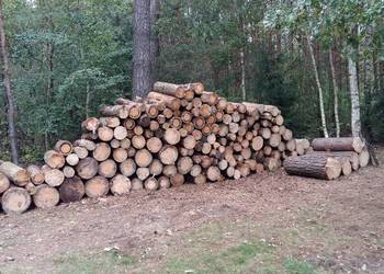 Drewno opałowe ,opał Sosna w grubych wałkach