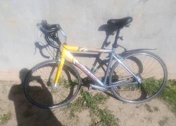 Rower kolarstwo