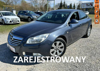 Opel Insignia Super stan, zarejestrowany w Polsce A (2008-2017)