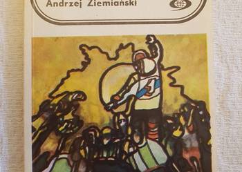 Andrzej Ziemiański: DAIMONION