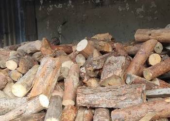 Drewno kominkowe opałowe kominka Jodła 1kg 4L kawałki wysyłka suche