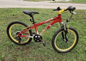 Rower Arkus Evolution