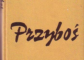 (5517) ROZBŁYSK ZNACZEŃ WYBÓR POEZJI – JULIAN PRZYBOŚ