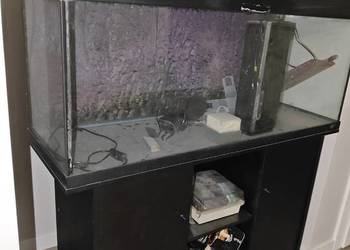 Akwarium Juwel Rio 240 ze świetlówkami, szafką, akcesoriami