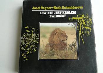 LEW NIE JEST KRÓLEM ZWIERZĄT