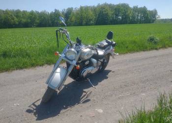 Suzuki volusia vl800 chopper