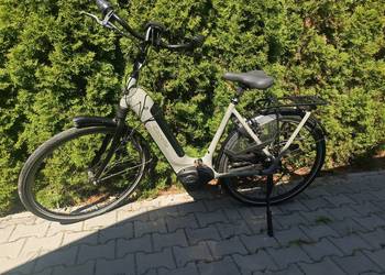 Gazelle