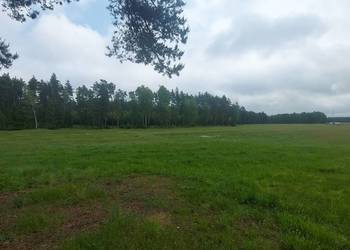 Działka siedliskowa