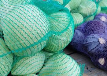 Sprzedam kapustę białą i czerwoną