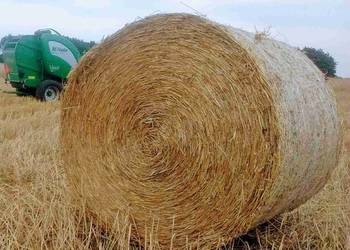 Słoma z pszenżyta, bele 120 po pasówce, załadunek samochody, 300szt