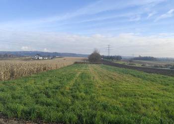 Działka budowlana 31.5a, Kobylany ul. Kasztanowa