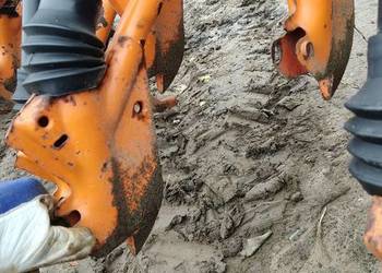 Redlice Amazone d4 D5 d7 d8 d9