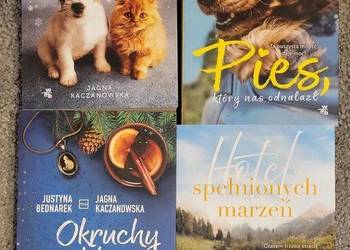 Okruchy dobra I przemówiły ludzkim głosem Pies który nas odnalazł Hotel