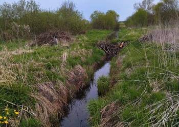Działka budowlana z dostępem do linii brzegowej