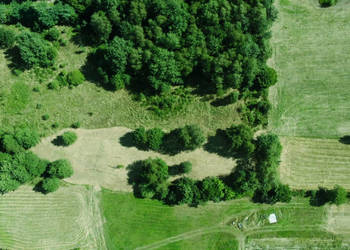 Działka rolna z dopuszczeniem zabudowy zagrodowej | 2393 m2