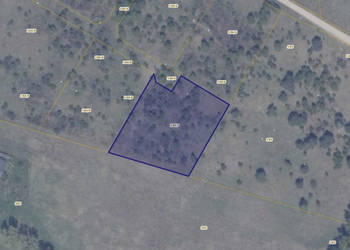 Działka 194/7 w Ełganowie