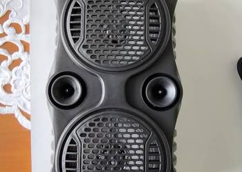 Przenośny głośnik