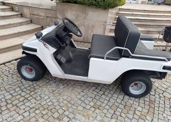 wózek elektryczny typy melex