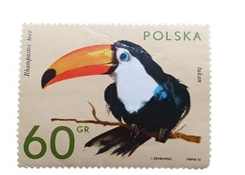 Stary znaczek pocztowy Polska 1972 Tukan 60 gr Polska czysty kolekcjonerska