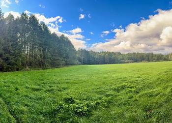 Wyjątkowa działka 2,42 ha wśród zieleni. Cisza, prywatność, natura