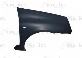 BŁOTNIK PRZEDNI LE - RENAULT CLIO II FL 05/01-08/05