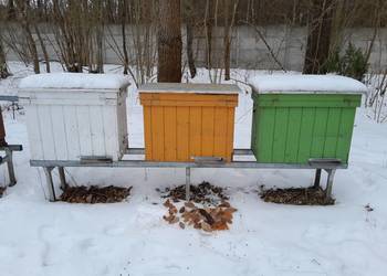 Ule drewniane warszawskie poszerzane