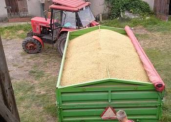 Przyczepa D-47B po remoncie w 2017 roku