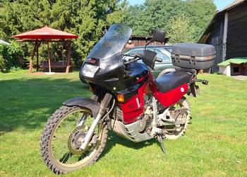 Honda translap