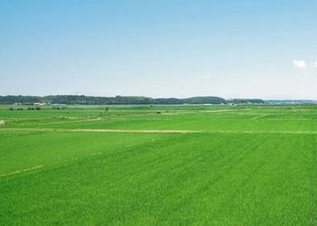 Działka rolna 2.86 ha + dzierżawa 1.44 ha klasa III / wszystko w jednym kaw