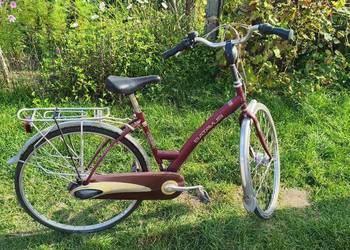 Batavus + Gazelle.