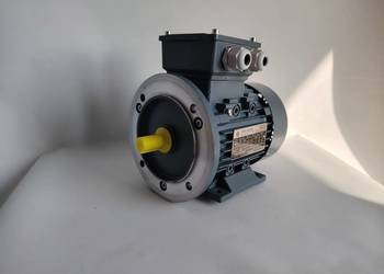 Silnik pompy mlecznej Westfalia