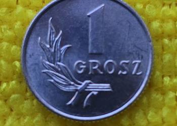 Moneta 1 grosz z 1949r (świetny stan zachowania)
