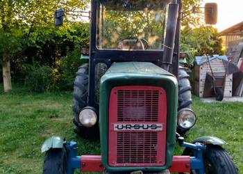 Ursus 60