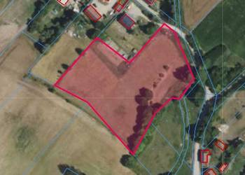 Syndyk sprzeda nieruchomość położoną w Golubkach, gm. Kowale Oleckie.