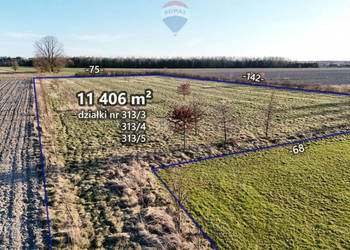 Ponad hektar przestrzeni 40 minut od Warszawy