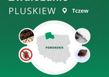 Zwalczanie pluskiew Tczew - Odpluskwianie, Dezynsekcja