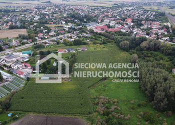 Grunt Pszczółki 3342m2