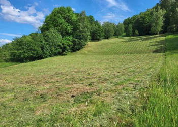 Działka 5305m2 Piechowice