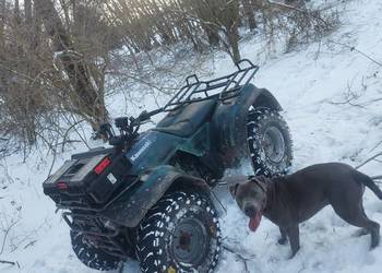 Quad 300 4x4 Kawasaki KLF