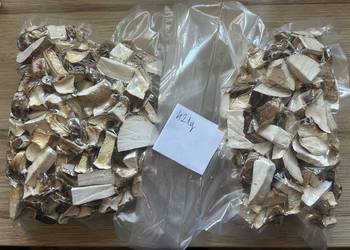 Białoporek brzozowy suszony 421gram