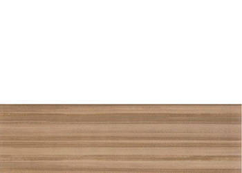 Płytka Sea Shell brown 25 x 60, Ceramika Color, płytki, kafelki, flizy