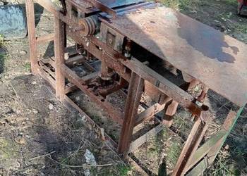 Heblarka grubościówka