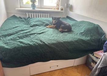 óżko - stolarz - szerokość materaca 180 cm, solidne, bez psa]