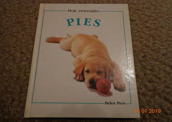 Moje zwierzątko - Pies - Helen Piers