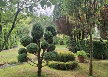 Działka ROD Góra Zabelecka w Nowym Sączu