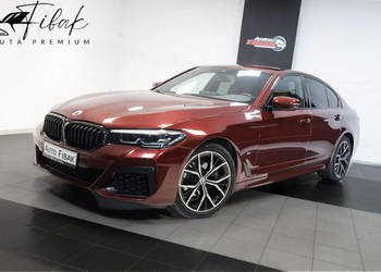 BMW 520 LCI*190KM*xDrive*Mpakiet*Salon Polska*I Właściciel*Bezwypadkowy*Va…